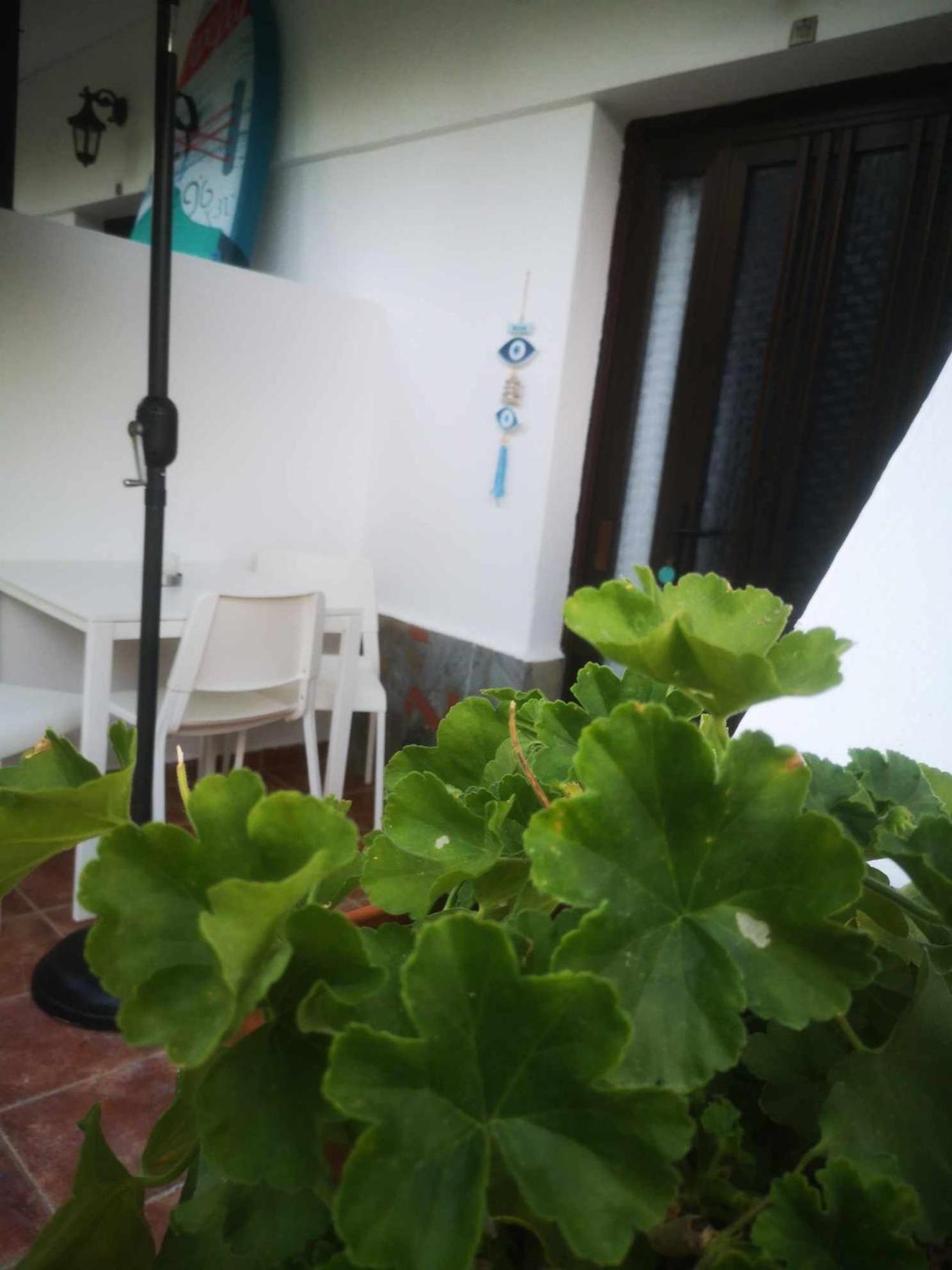 Achillion B&B Paralía Skotínis Zewnętrze zdjęcie